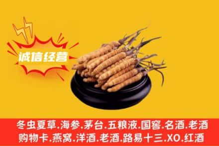 白沙回收冬虫夏草